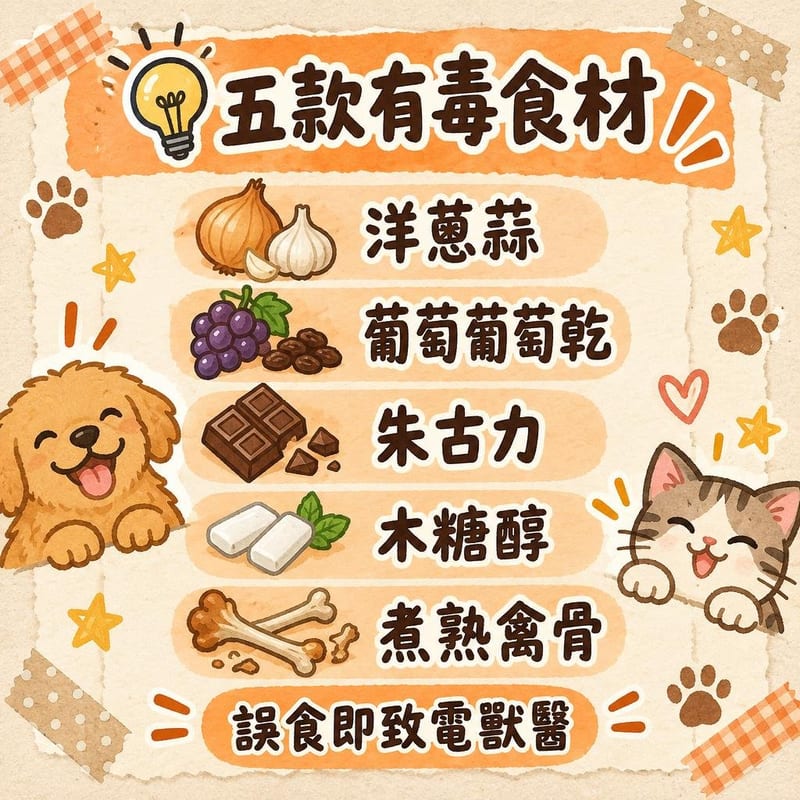 natural-treats 知識圖卡2
