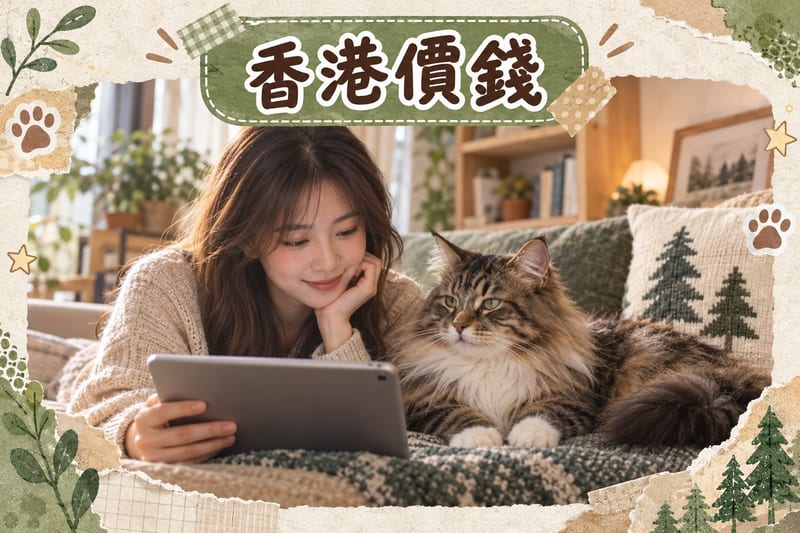 領養中心內義工抱住待領養嘅長毛貓,準備同準飼主會面