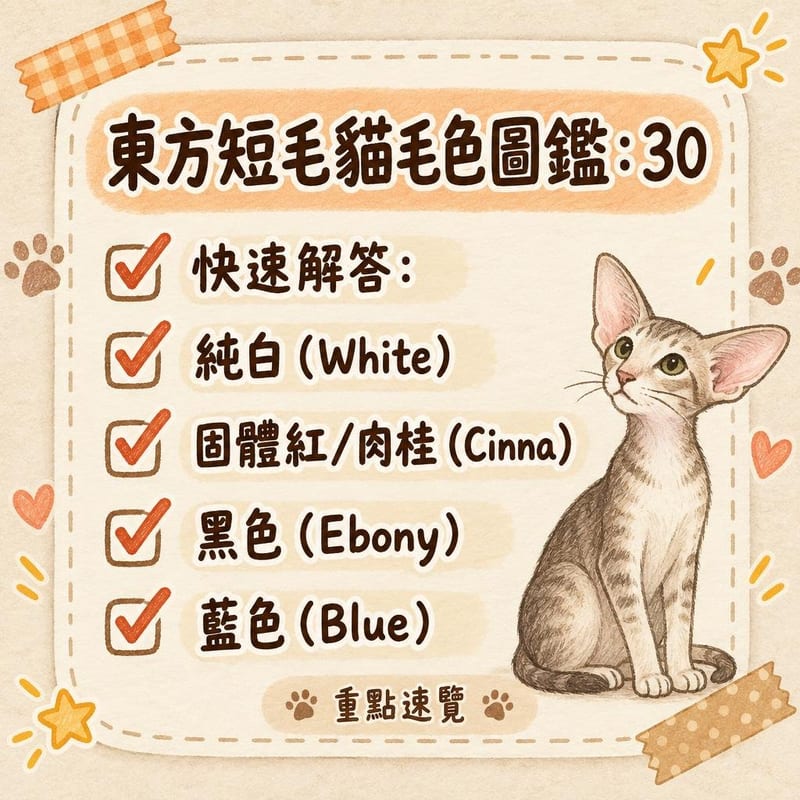 梳化上瞓住一黑一白兩隻東方短毛貓,白色藍眼個體特寫