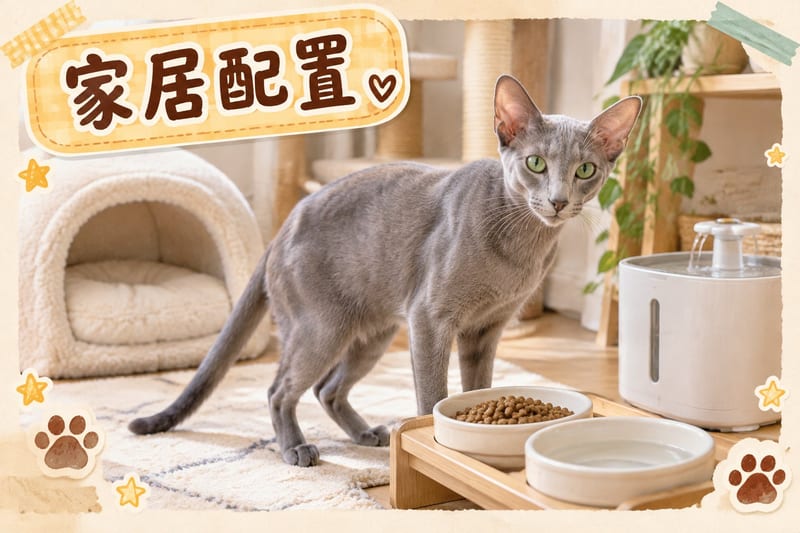 獸醫診所等候區,主人用航空箱帶同貓見醫生,箱門雙重鎖扣特寫