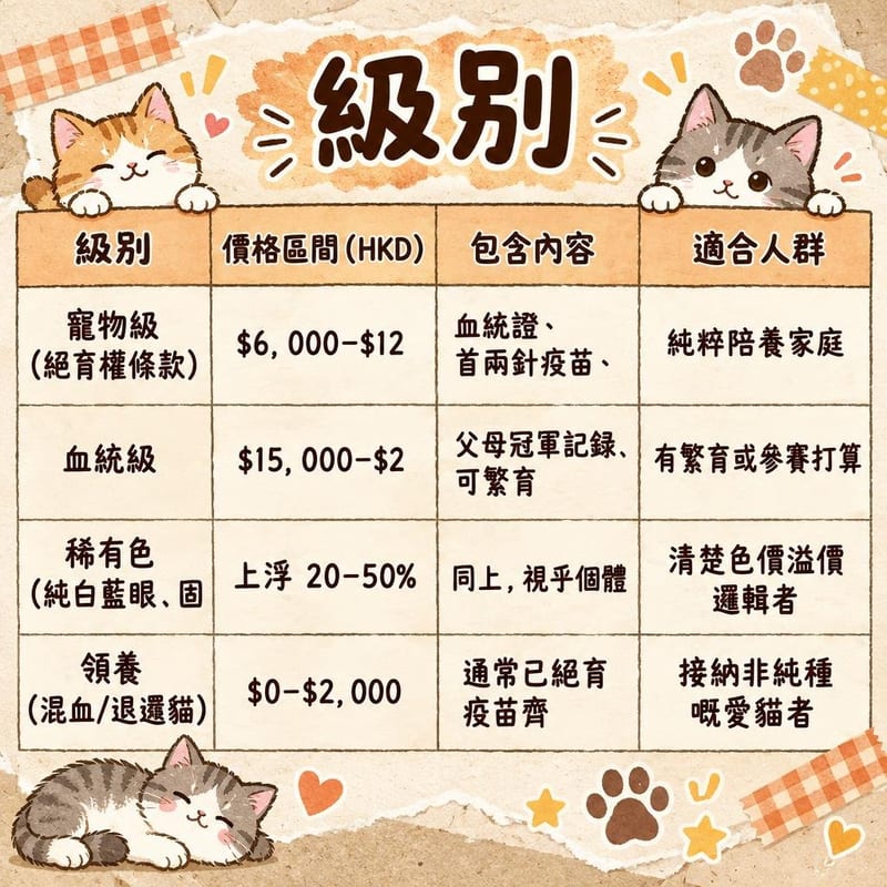 oriental-shorthair-price-adopt-hk 知識圖卡1