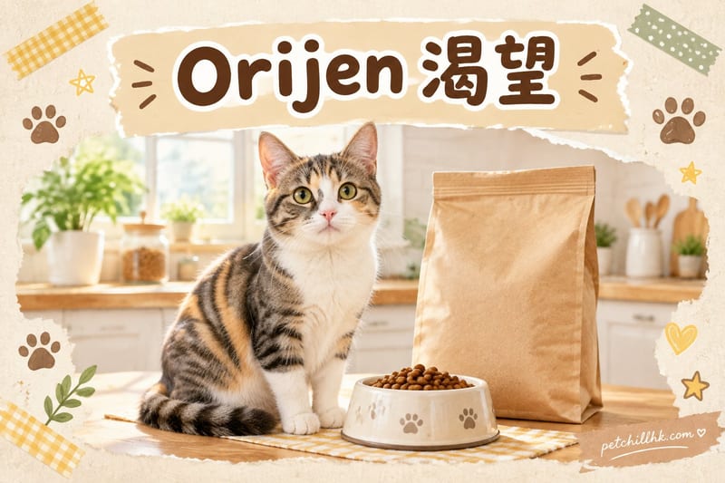 Orijen 渴望貓糧指南｜加拿大高蛋白無穀物香港必讀