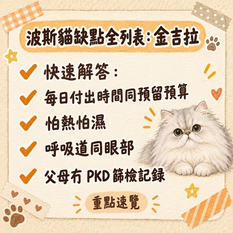木枱上整齊擺放貓用排梳、理毛噴霧同化妝棉，背景一隻白色波斯貓側躺休息