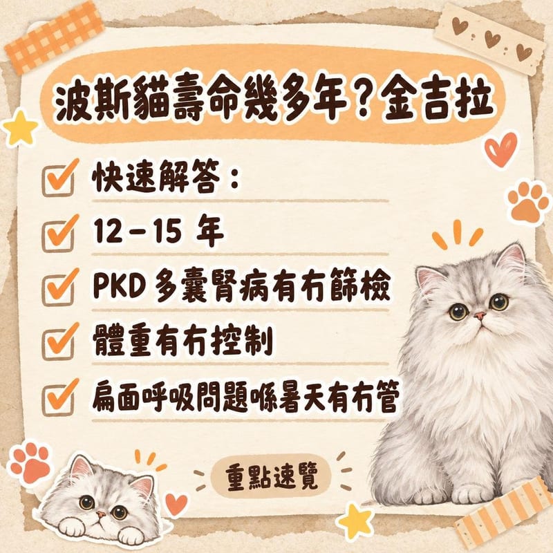獸醫用超聲波為波斯貓檢查腹部,主人喺旁邊輕撫貓頭安撫