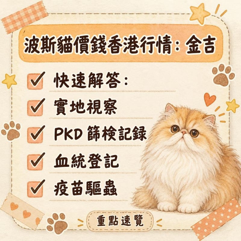 一對波斯貓喺潔淨家居繁育環境，枱面放住基因檢測文件同疫苗小書