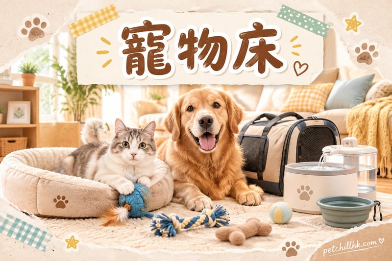 寵物床點揀？香港貓狗床墊類型・尺寸・清洗指南
