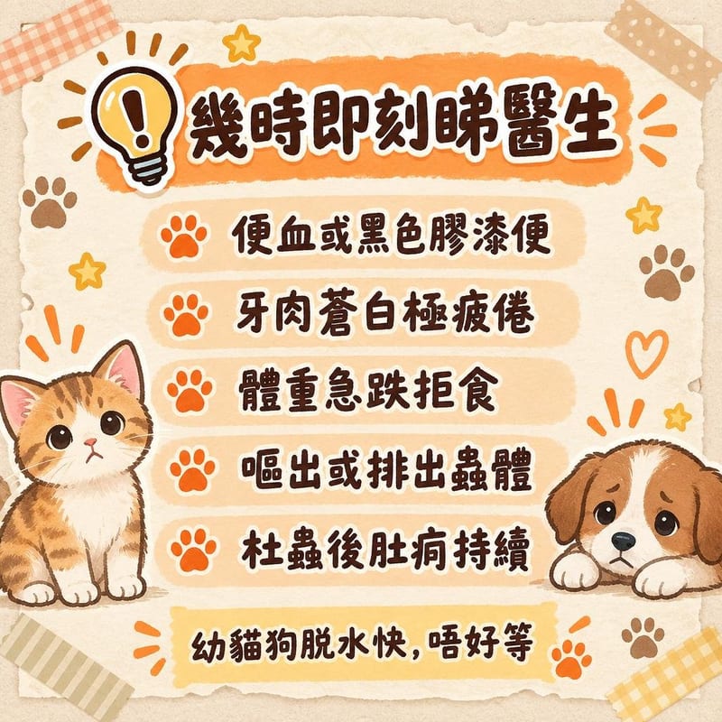pet-deworming-guide 知識圖卡2