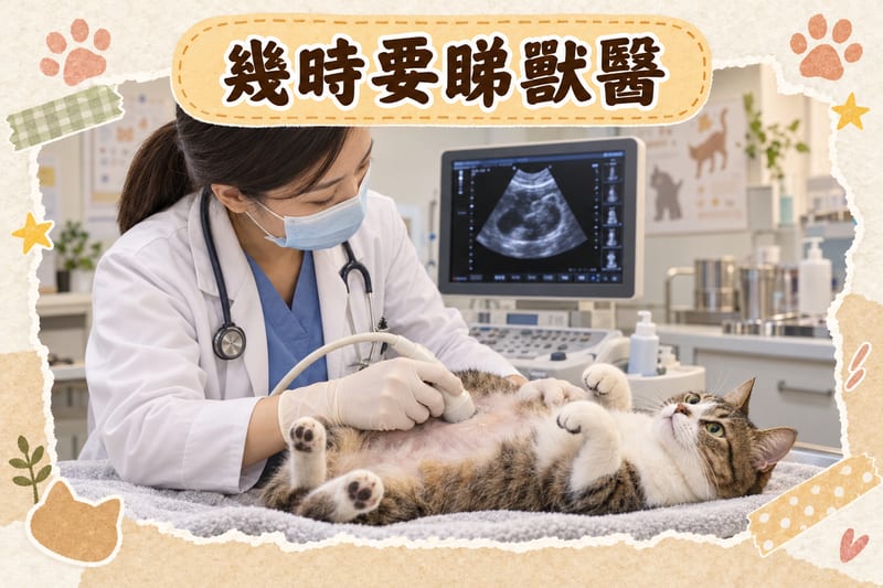 主人用手機記錄毛孩排便、進食量同體重嘅示意圖,旁邊有記錄表格