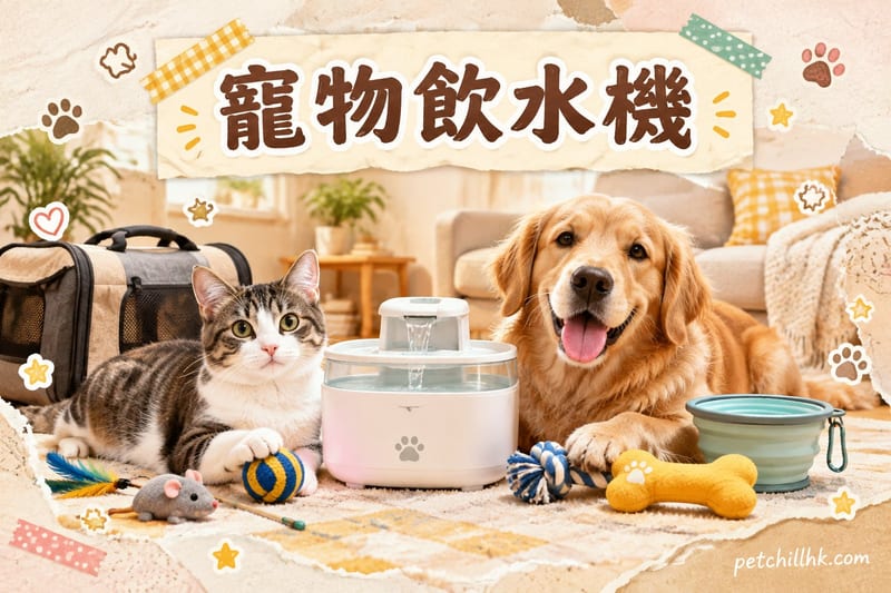 寵物飲水機指南｜香港貓狗靜音過濾選購・清潔全攻略