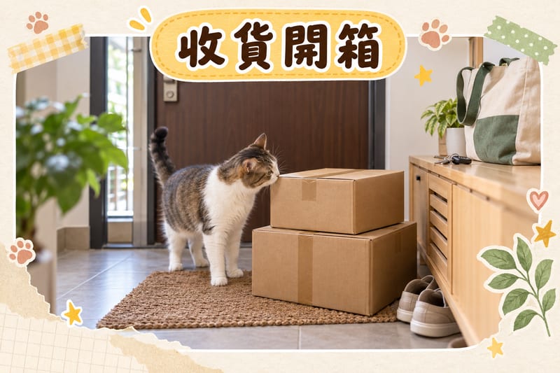 香港單位門口，兩個紙箱放喺地墊上，一隻貓嗅住箱角，鞋櫃上有鎖匙同環保袋