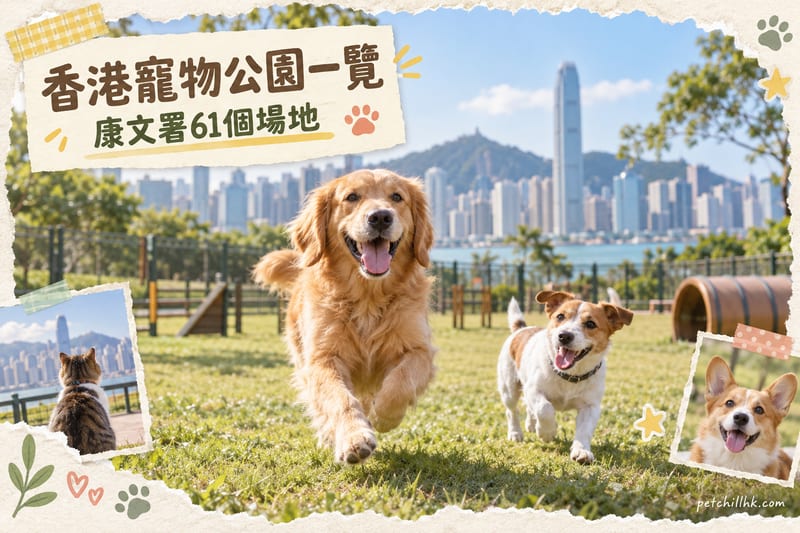 寵物公園香港|全港61個康文署寵物公園/Dog Garden分區一覽(2026更新)