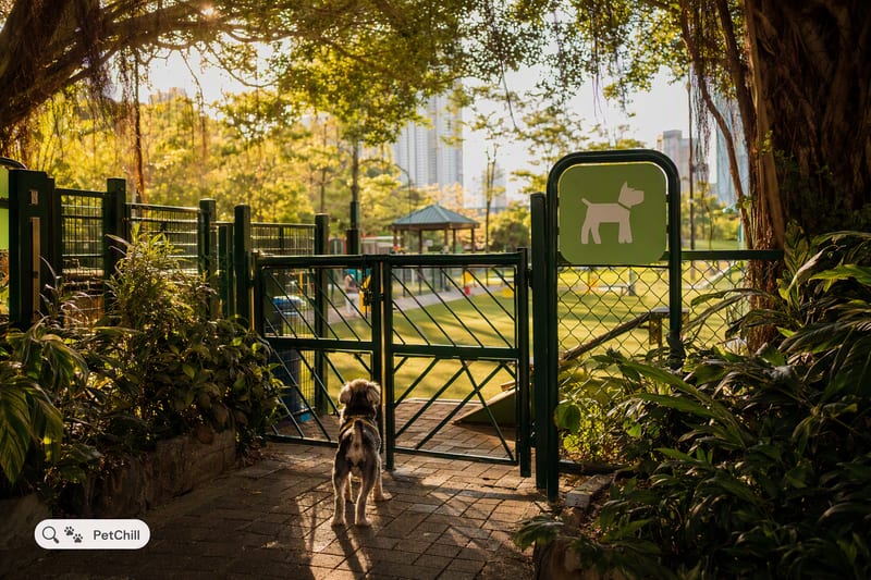 康文署寵物公園入口