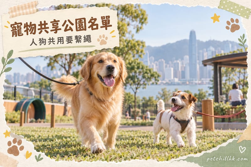 寵物共享公園|香港 181 個康文署場地名單、守則同開放時間一覽