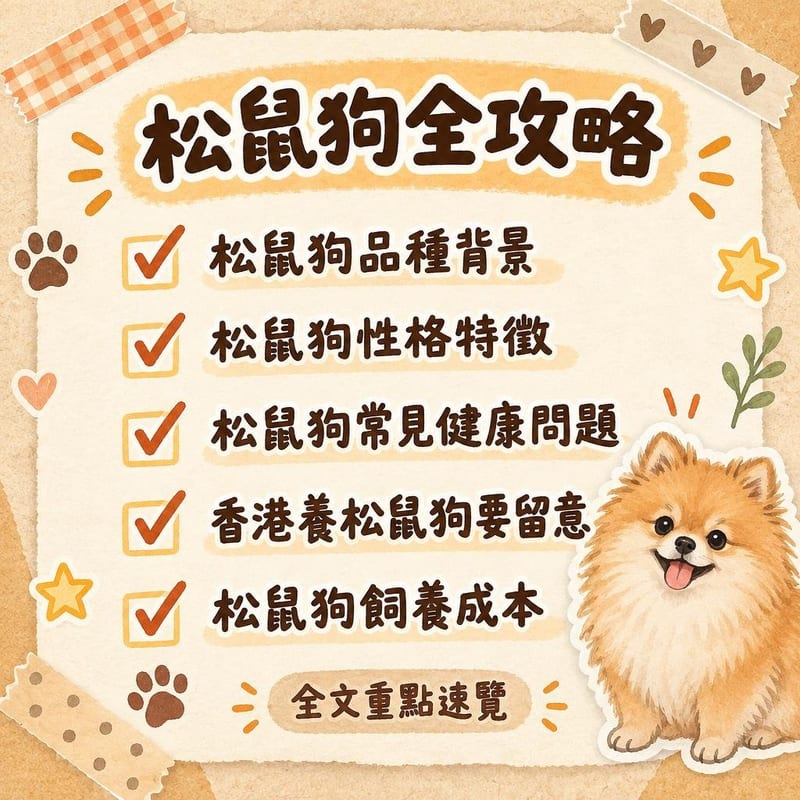 松鼠狗全攻略|PetChill 圖卡整理