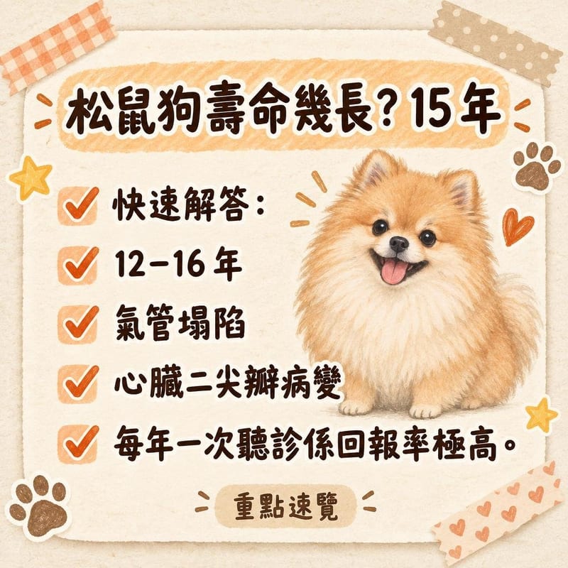 獸醫用聽診器替松鼠狗做年度檢查，枱面放住體重記録表