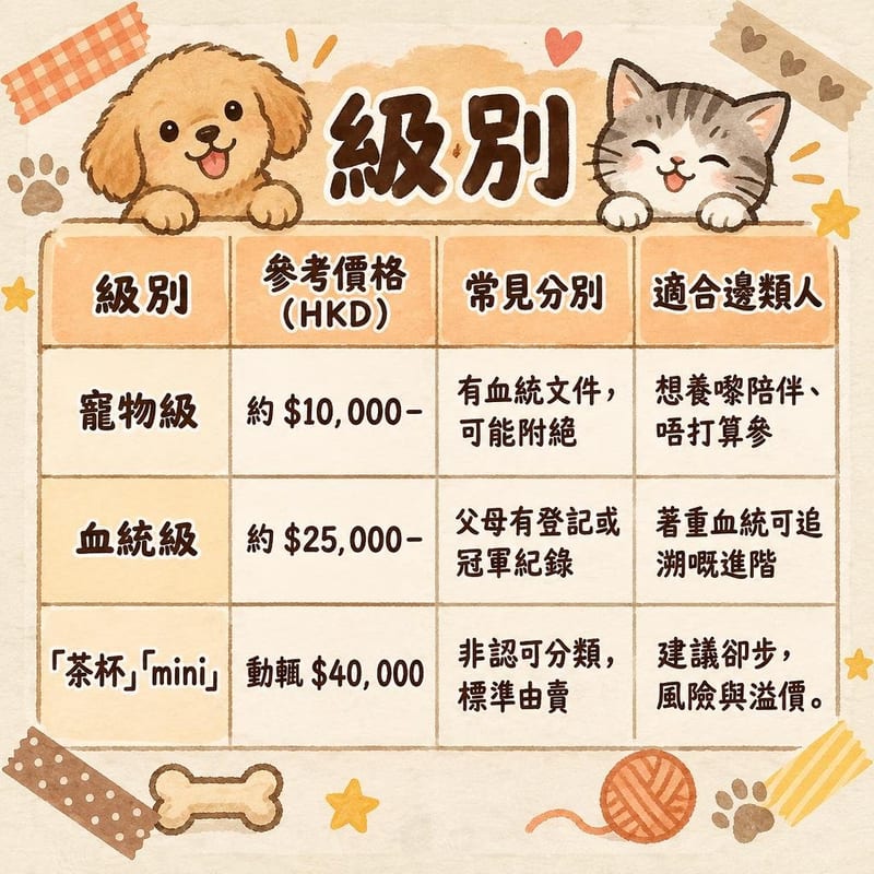 pomeranian-price-adopt-hk 知識圖卡1