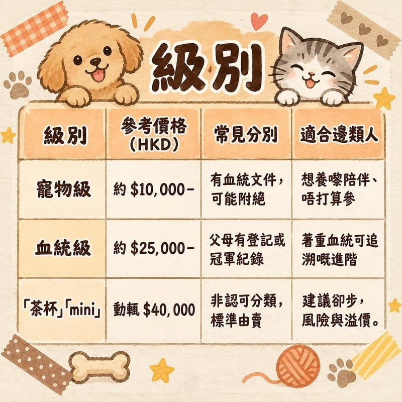 pomeranian-price-adopt-hk 知識圖卡1