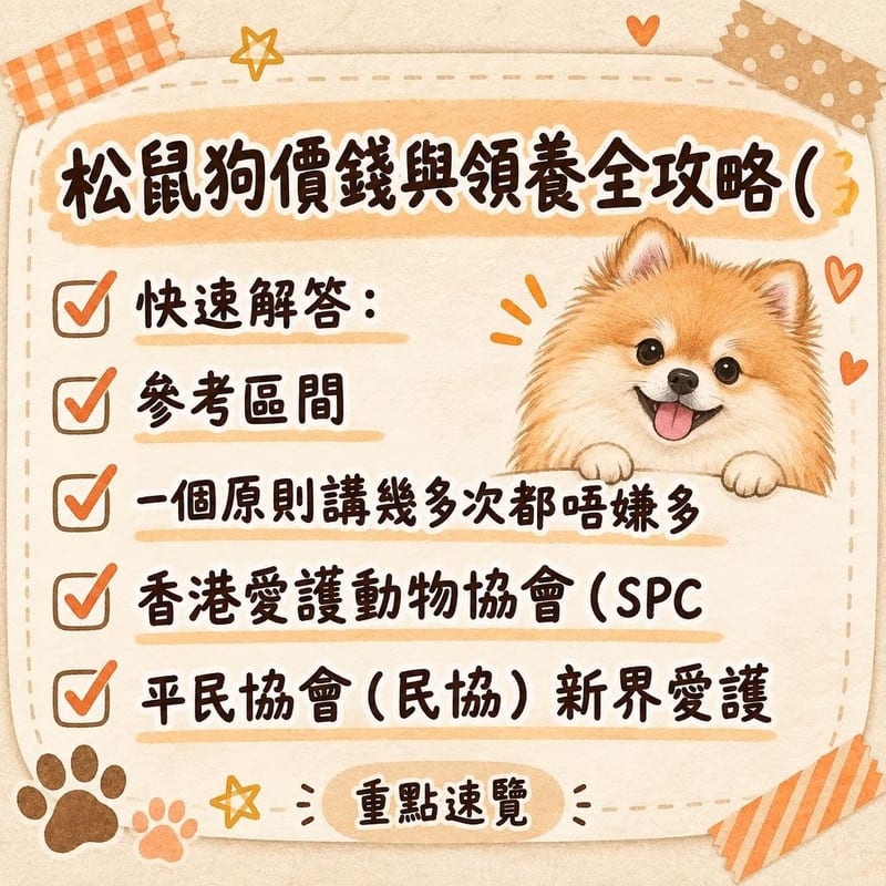 白色松鼠狗企喊港島街舖門口，毛尾翹喺背脊上