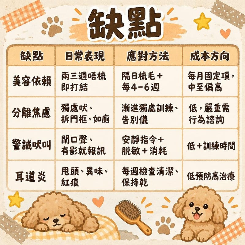 poodle-disadvantages-hk 知識圖卡1