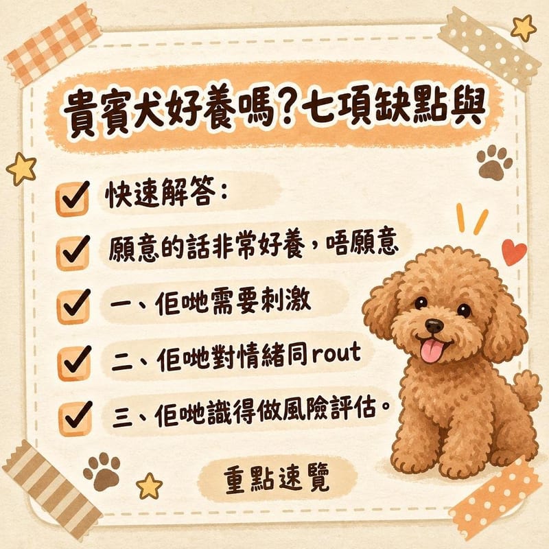 玩具貴賓企喺梳化旁望住美容剪刀,主人用針梳隔日幫佢梳底毛,場景生活化
