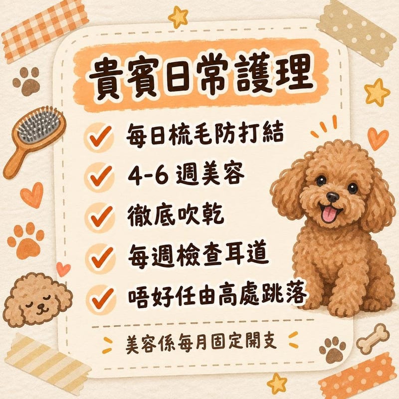 poodle-guide-hk 知識圖卡2