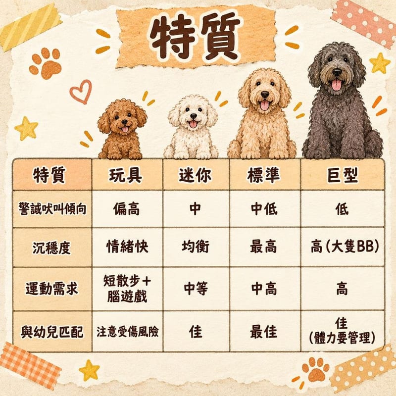 poodle-personality-hk 知識圖卡1
