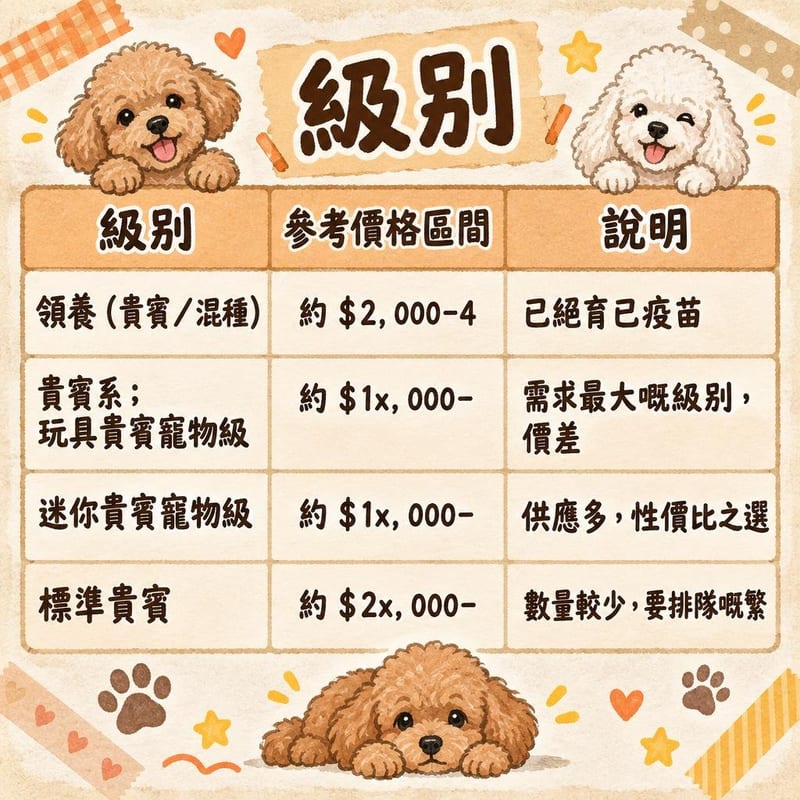 poodle-price-adopt-hk 知識圖卡1