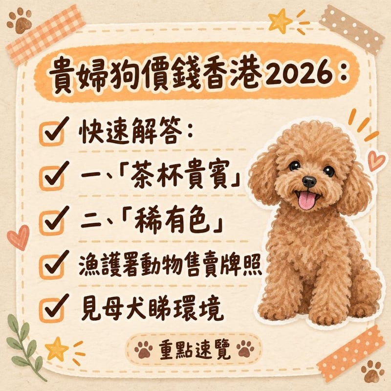 玩具貴賓、迷你貴賓同標準貴賓大小並排坐喺草地，體型對照一目了然