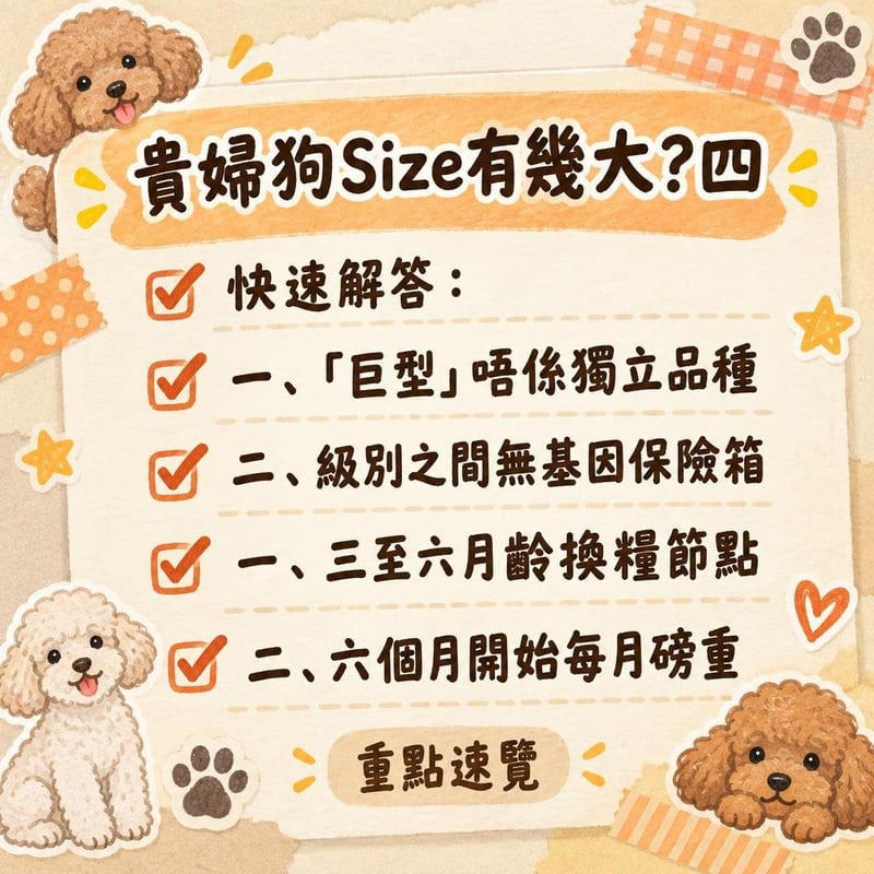主人用軟尺量度迷你貴賓肩高,狗狗企喺防滑墊上,桌面放住記錄本