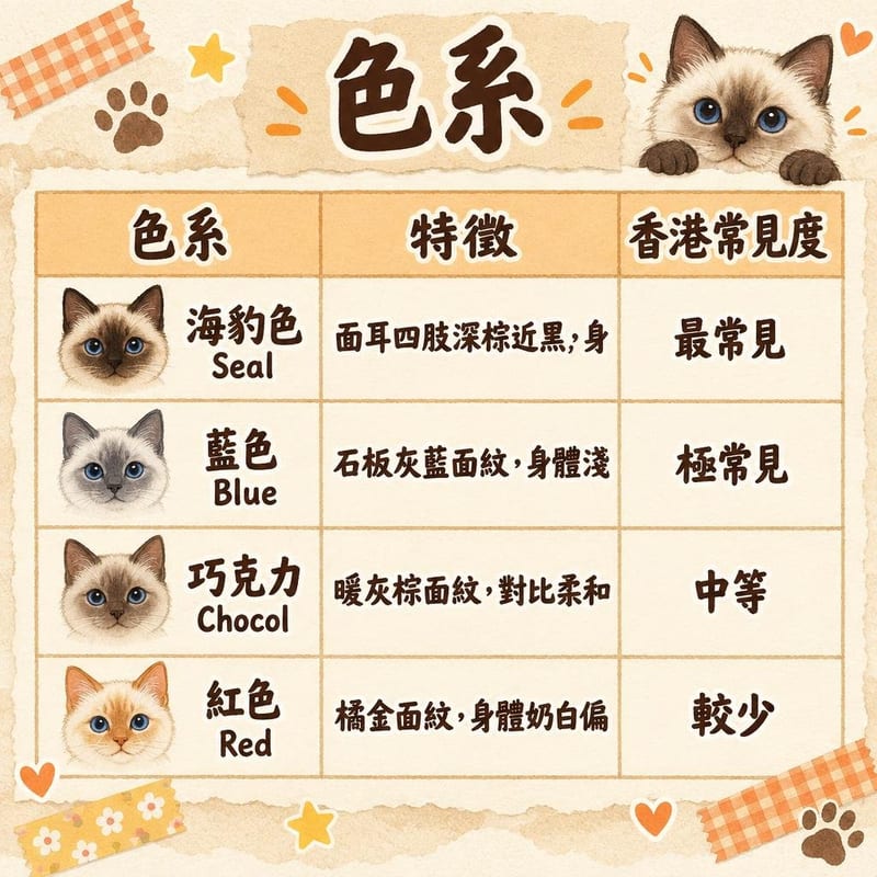 ragdoll-colors-hk 知識圖卡1
