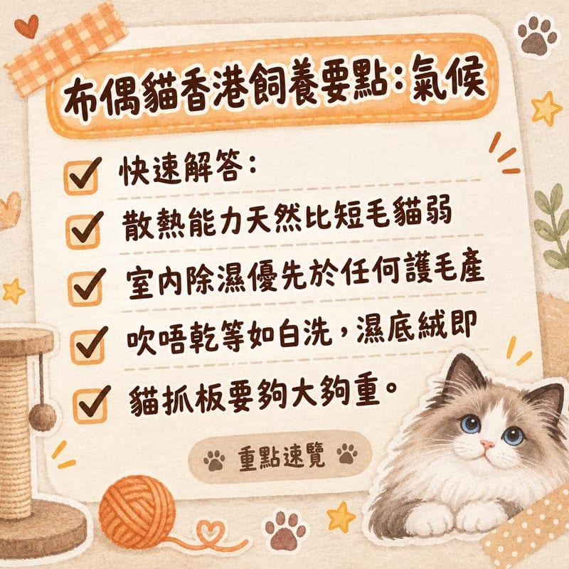 布偶貓伏喺冷氣出風口旁嘅地磚上納涼,尾巴自然垂喺一邊