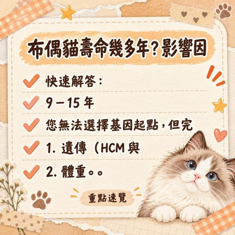 獸醫用聽筒為布偶貓做心臟檢查,主人喺旁邊安撫
