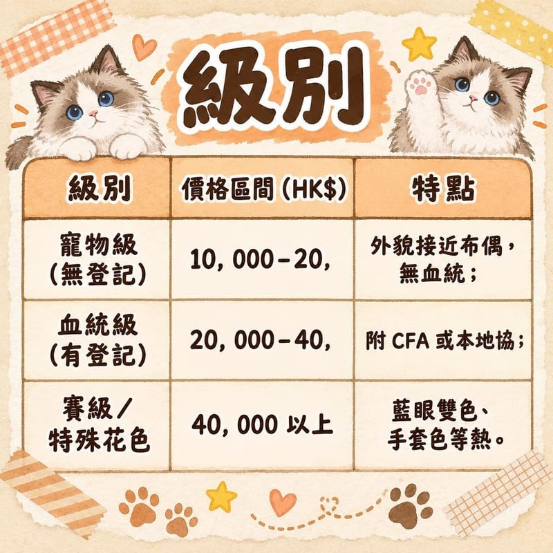ragdoll-price-adopt-hk 知識圖卡1
