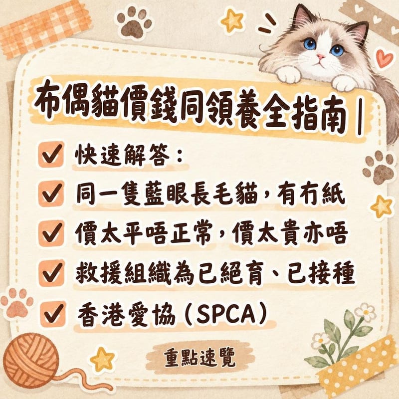 領養中心內一隻長毛貓望住鏡頭，旁邊貼住待領資料卡