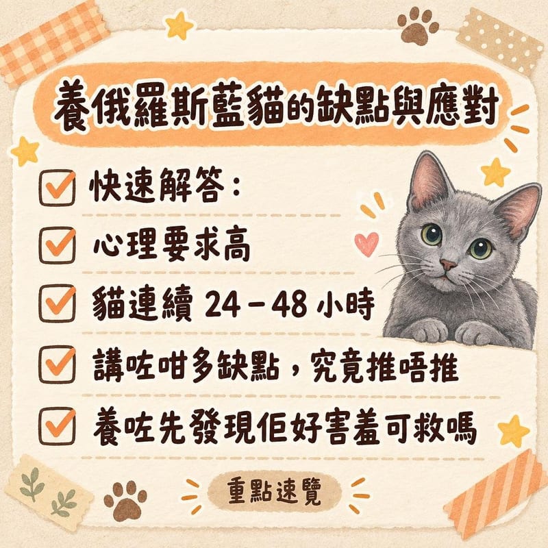 俄羅斯藍貓坐喺乾淨食盆前面無表情，旁邊放住未拆封嘅新貓糧
