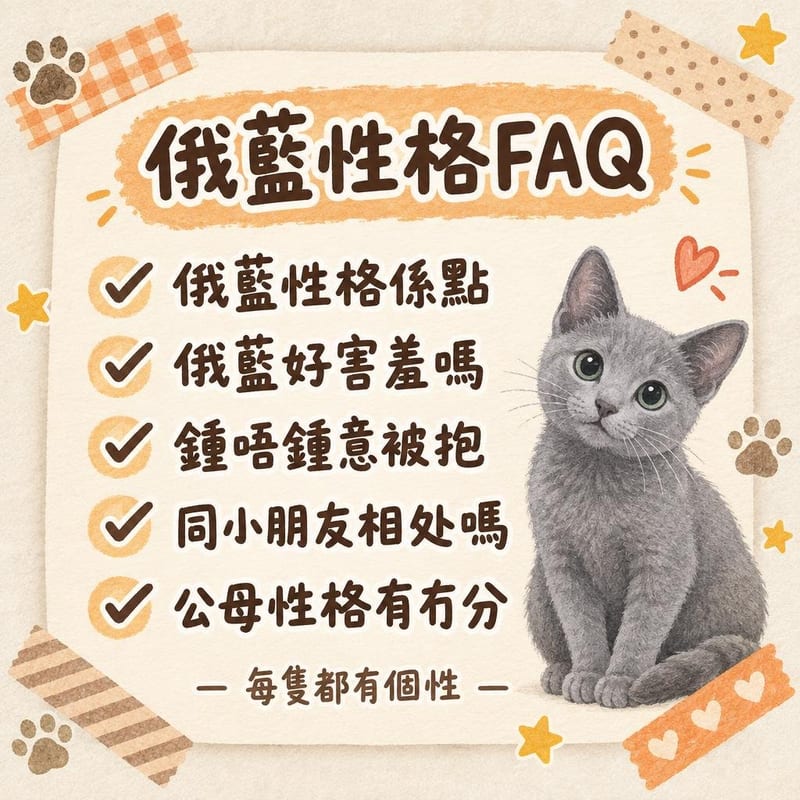 俄羅斯藍貓用爪扒開櫃桶抽屜，主人翁在旁忍笑
