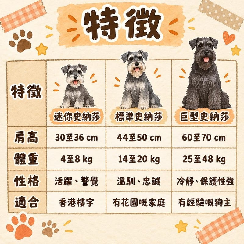 特徵|PetChill 圖卡整理