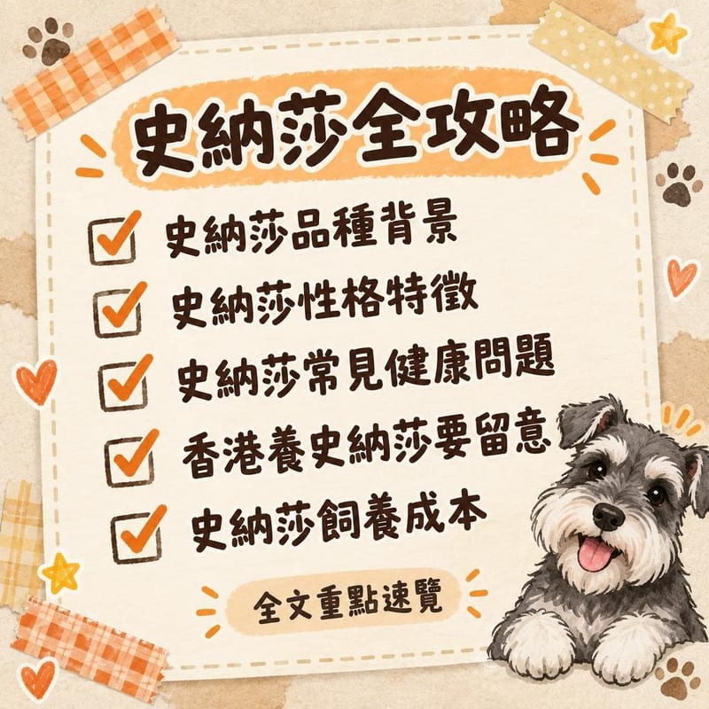 史納莎全攻略|PetChill 圖卡整理