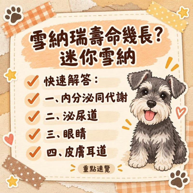主人用耳部清潔液幫史納沙做每週耳道檢查,燈光下認真觀察,場景家居溫馨