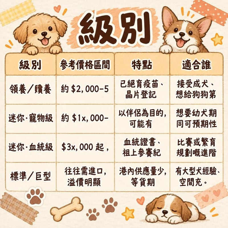 schnauzer-price-adopt-hk 知識圖卡1