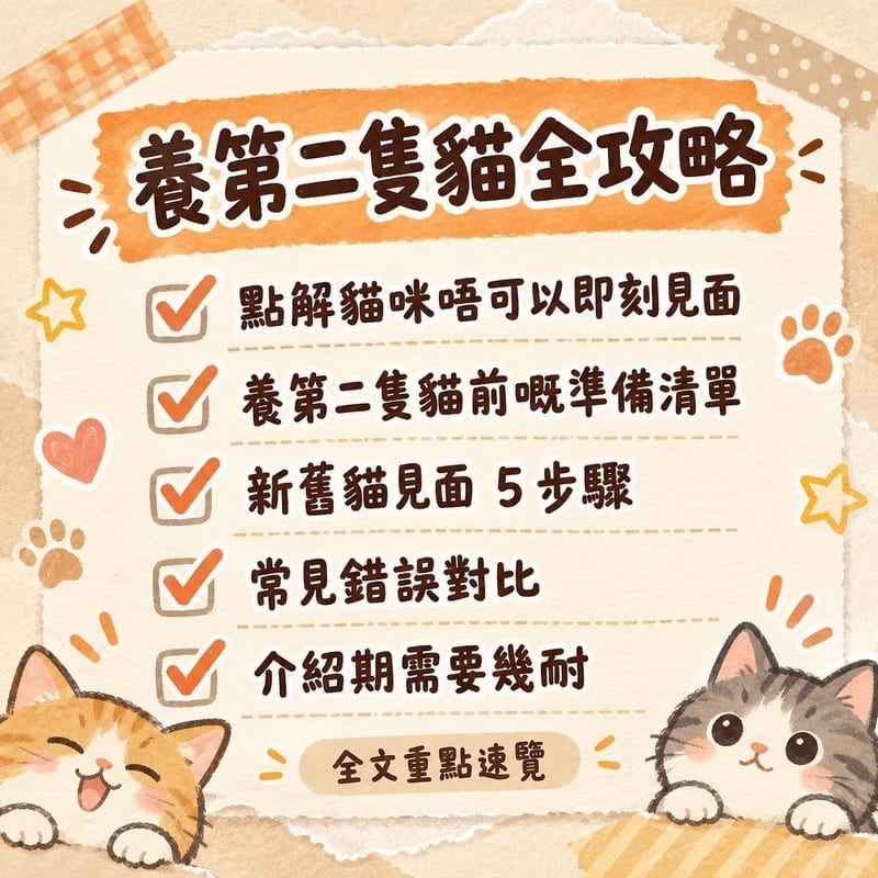 養第二隻貓全攻略|PetChill 圖卡整理