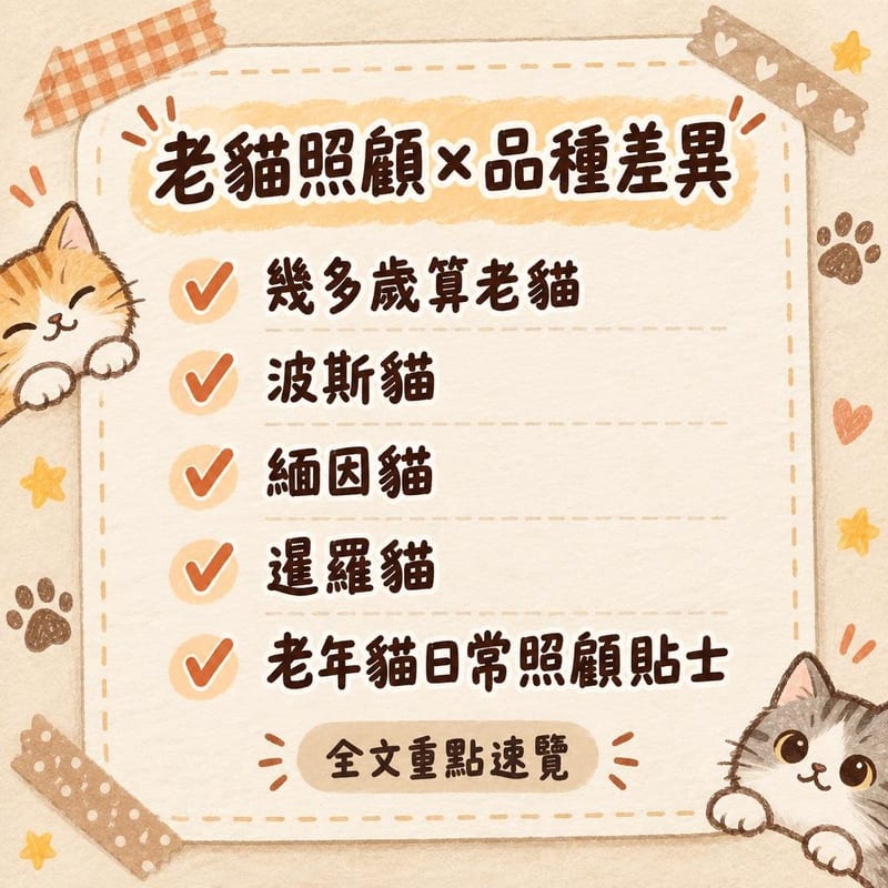 老貓照顧×品種差異|PetChill 圖卡整理