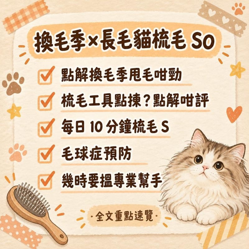 換毛季×長毛貓梳毛 SO｜PetChill 圖卡整理
