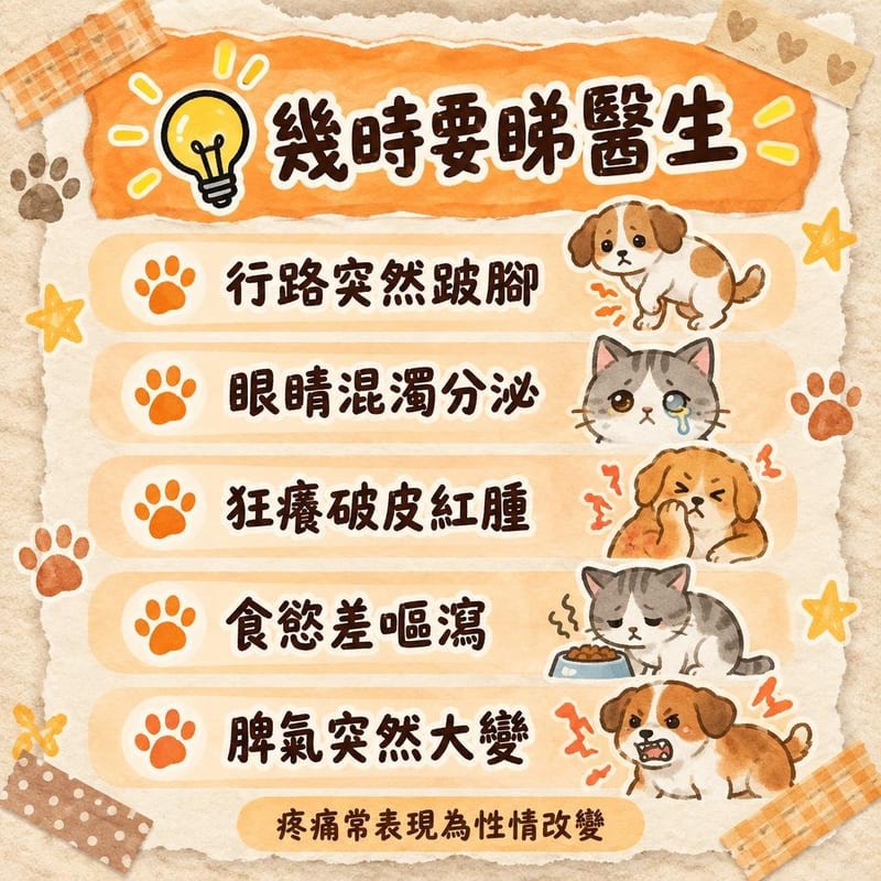 shiba-inu-guide-hk 知識圖卡2