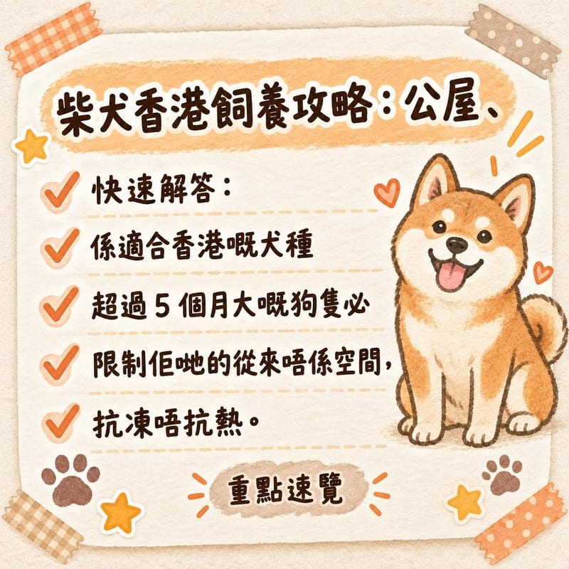 柴犬同主人搭電梯,柴犬安靜企喺主人腳邊繫好牽繩