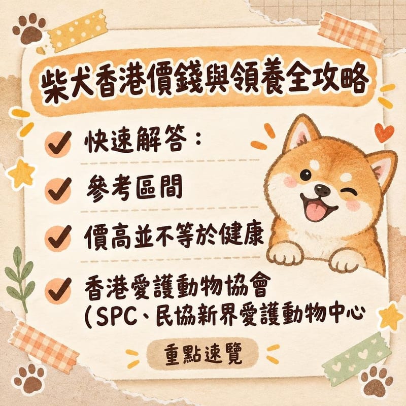 柴犬成犬坐喺領養中心圍欄旁,掛住「求領養」水牌