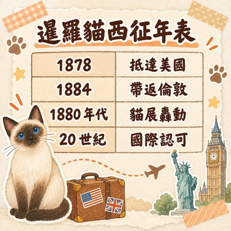 siamese-cat-origin-history 知識圖卡1