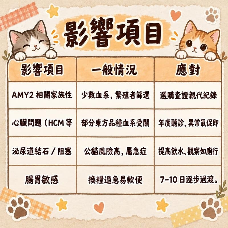 siamese-lifespan-hk 知識圖卡1