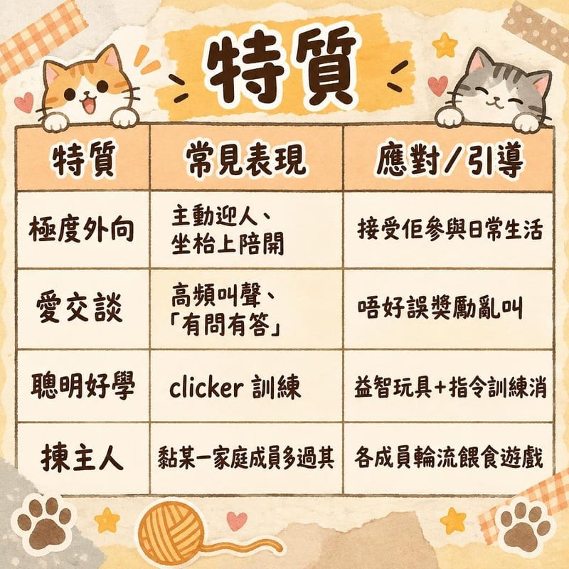 siamese-personality-hk 知識圖卡1