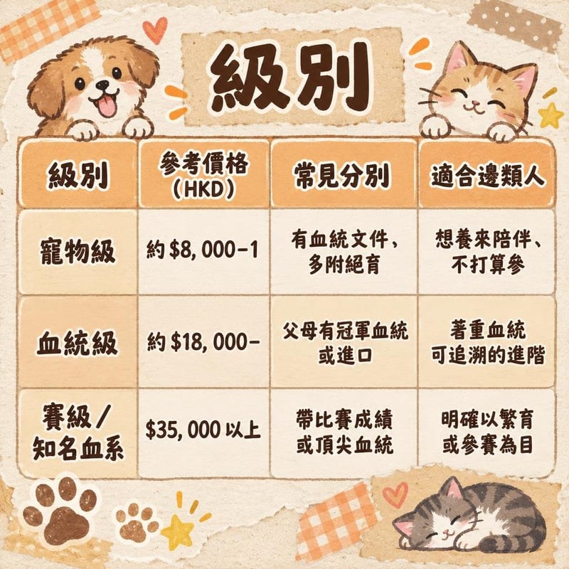 siamese-price-adopt-hk 知識圖卡1
